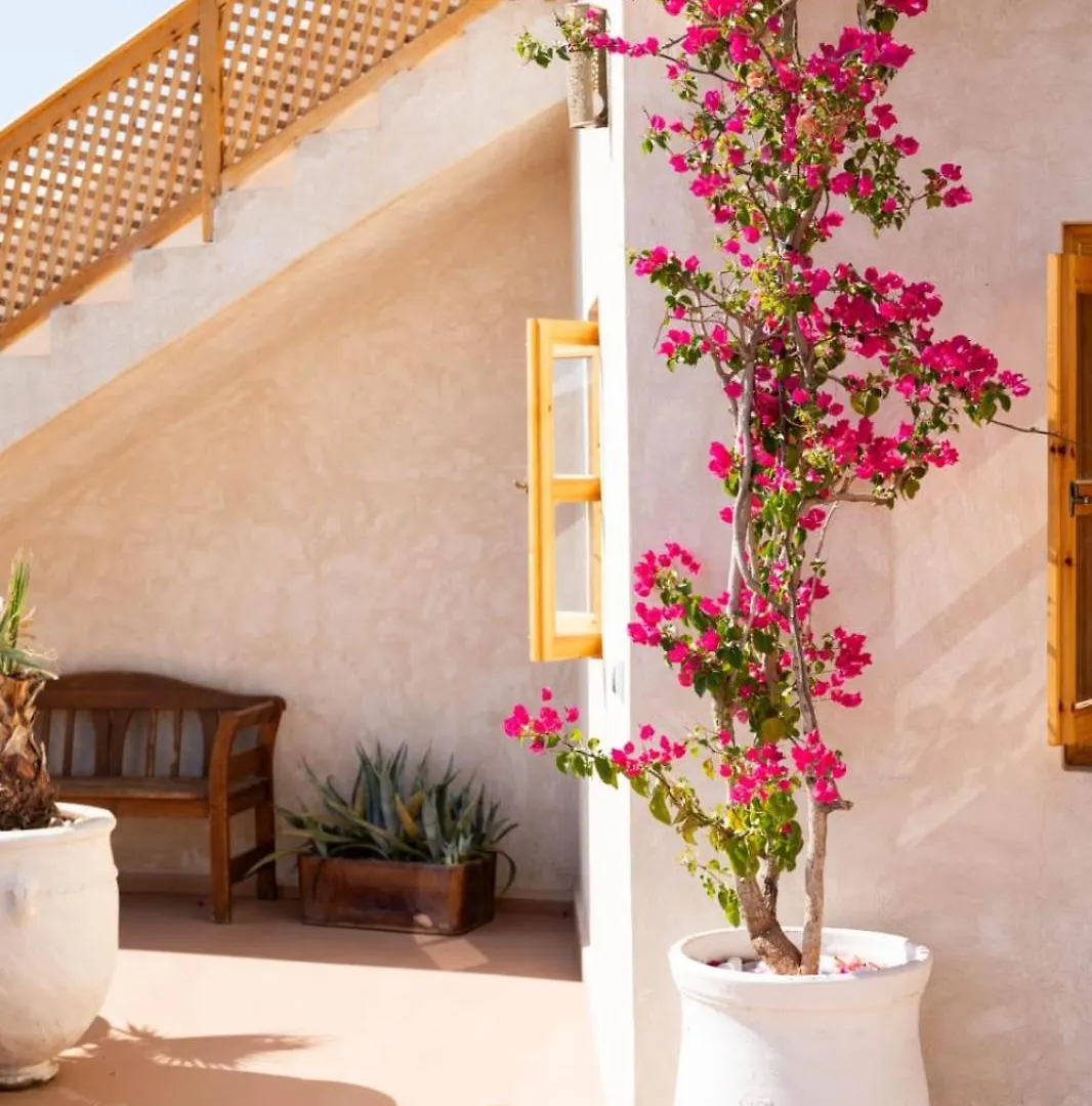 Riad Tamazigh Marrakesh Morocco